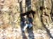 DSCN0084